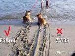 ĆABS׌붮
