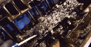 5.gif