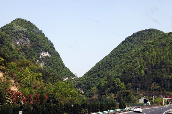 image001.jpg