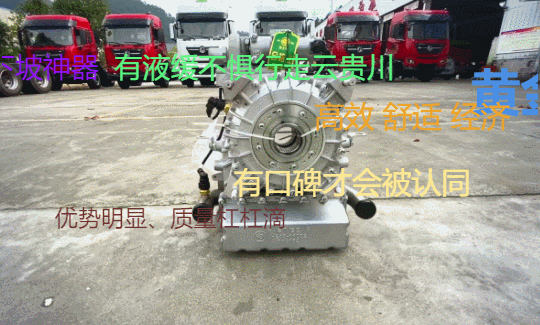 1.gif