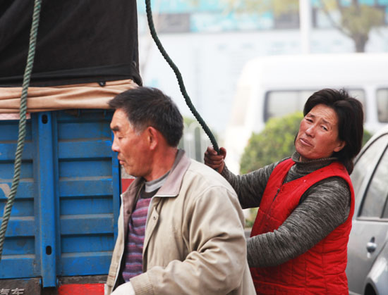 ܇˾C(j)201311 003.jpg