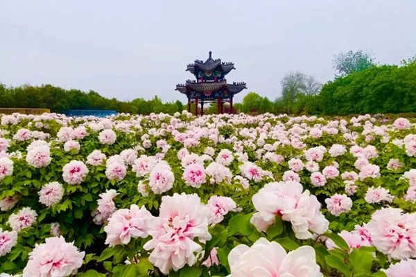 DƬ18.jpg