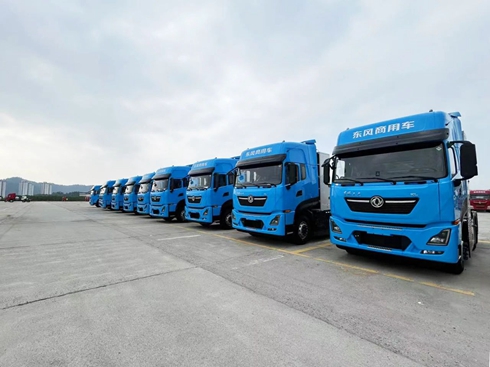 ΢㽭ۅ^(q)Gɫ |L(fng)ܠ܇ʽͶ\