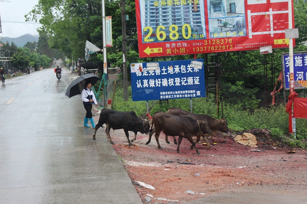image009.jpg