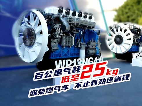 ҕlٹĵ25kg Hȼ܇ ֹЄ߀ʡX