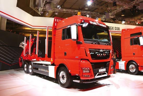 MAN+TGX+D38Ş܇.jpg