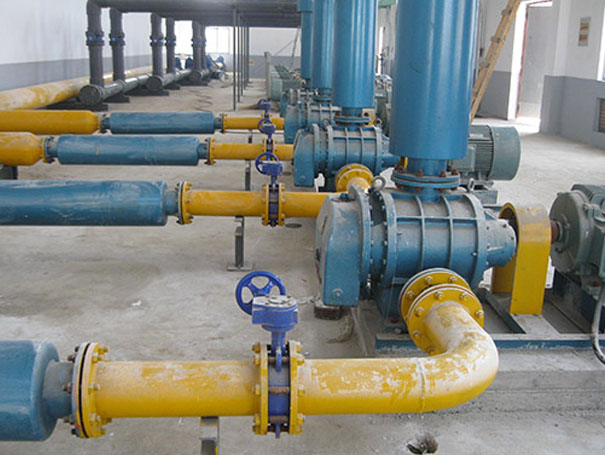 化工行業(yè)用羅茨風機沼氣輸送案例 化工行業(yè)用羅茨風機沼氣輸送案例